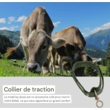 Collier de traction pour bétail