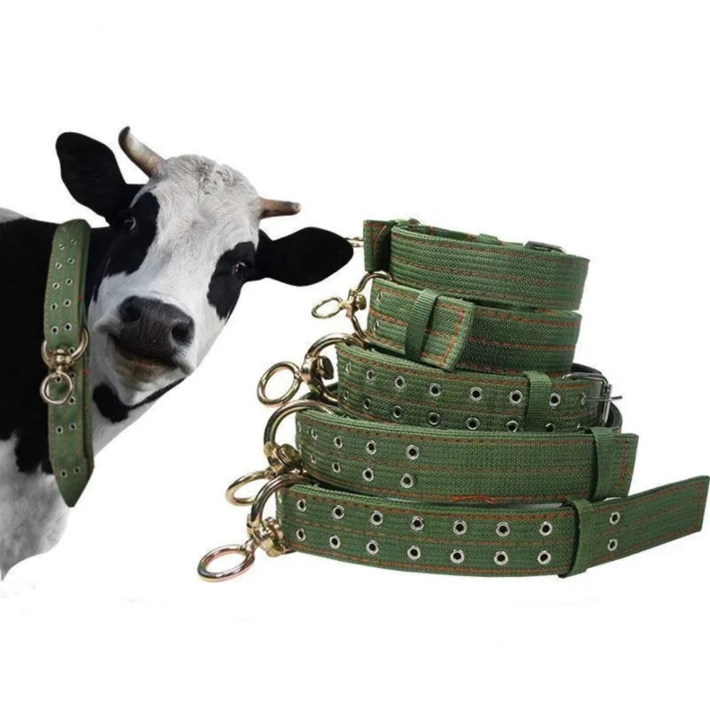 Collier de traction pour bétail