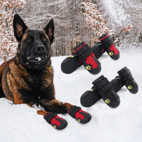 Chaussures pour chien
