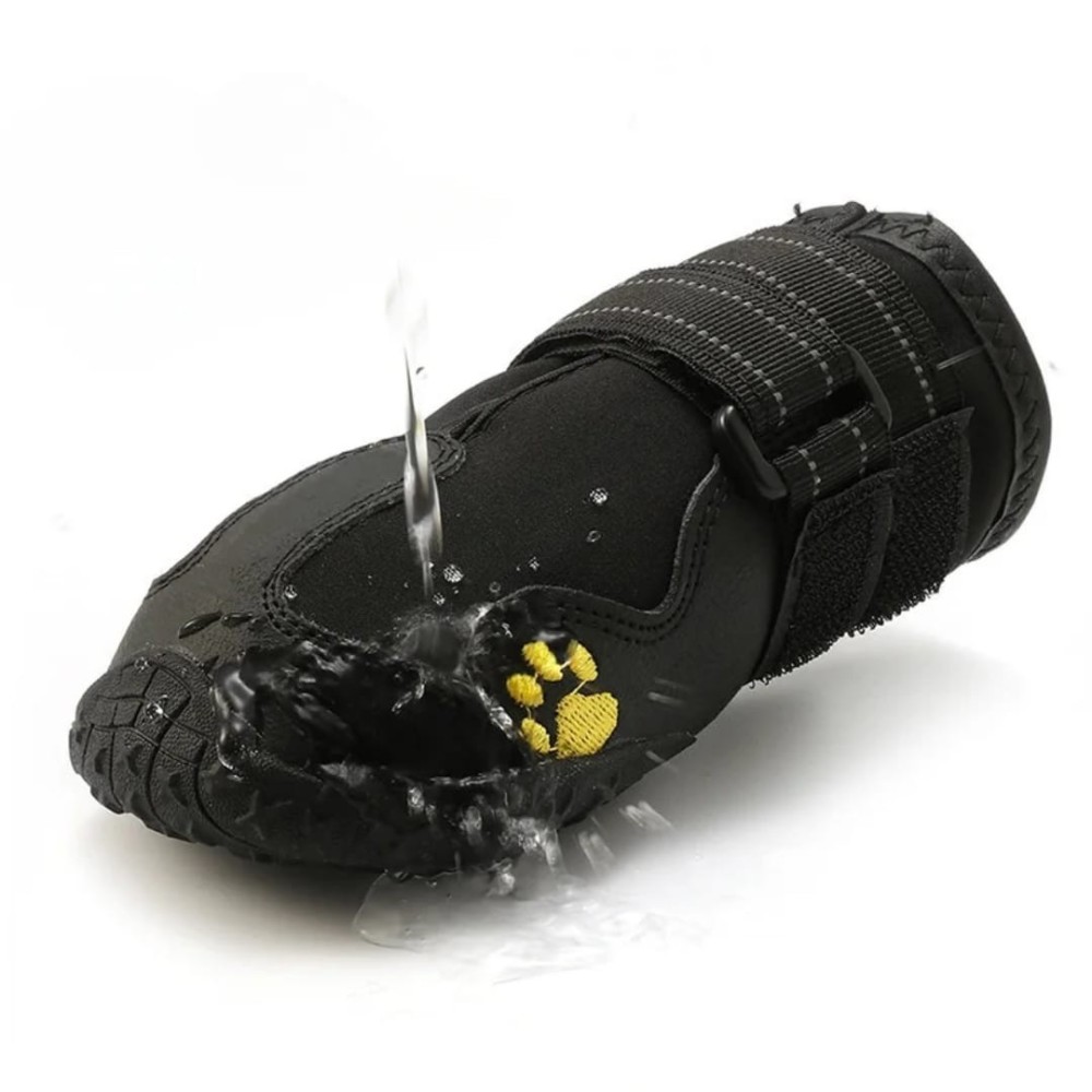 Chaussures pour chien