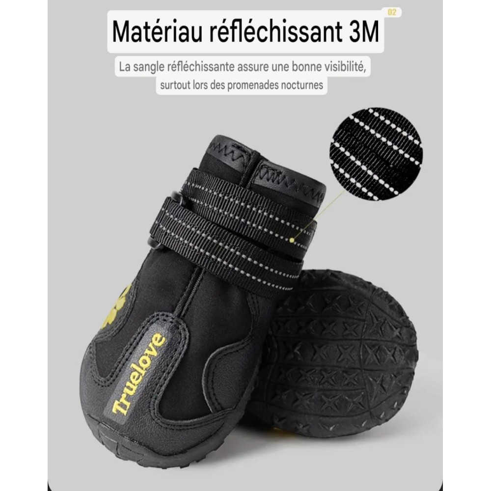 Chaussures pour chien