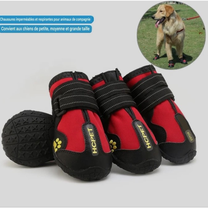 Chaussures pour chien