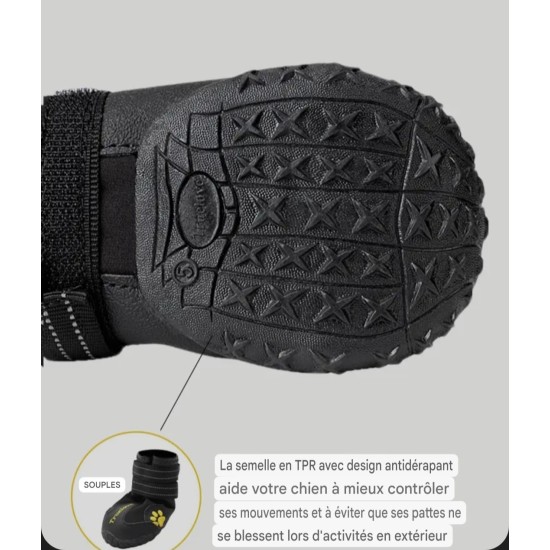 Chaussures pour chien