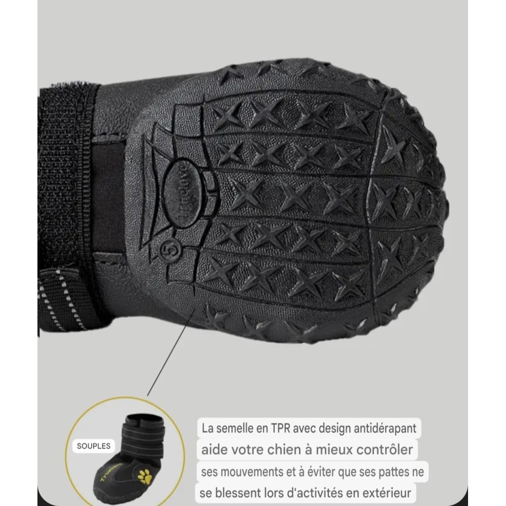 Chaussures pour chien