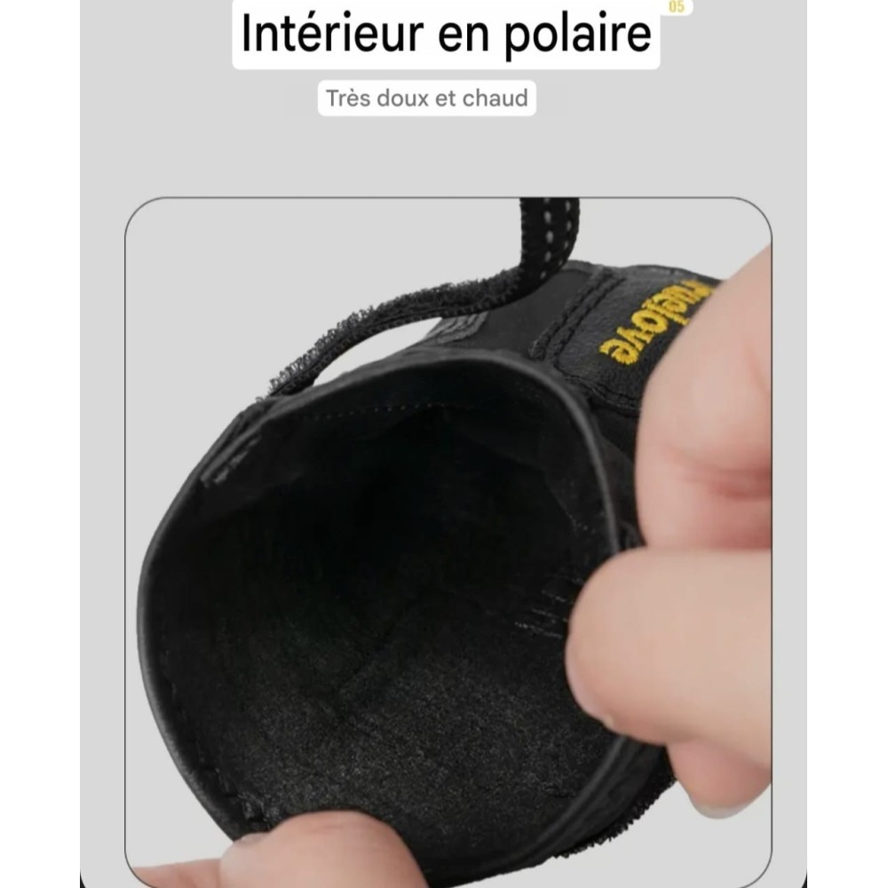 Chaussures pour chien