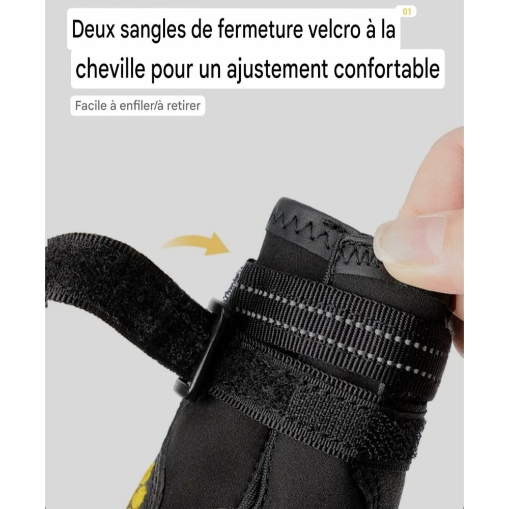 Chaussures pour chien