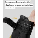 Chaussures pour chien