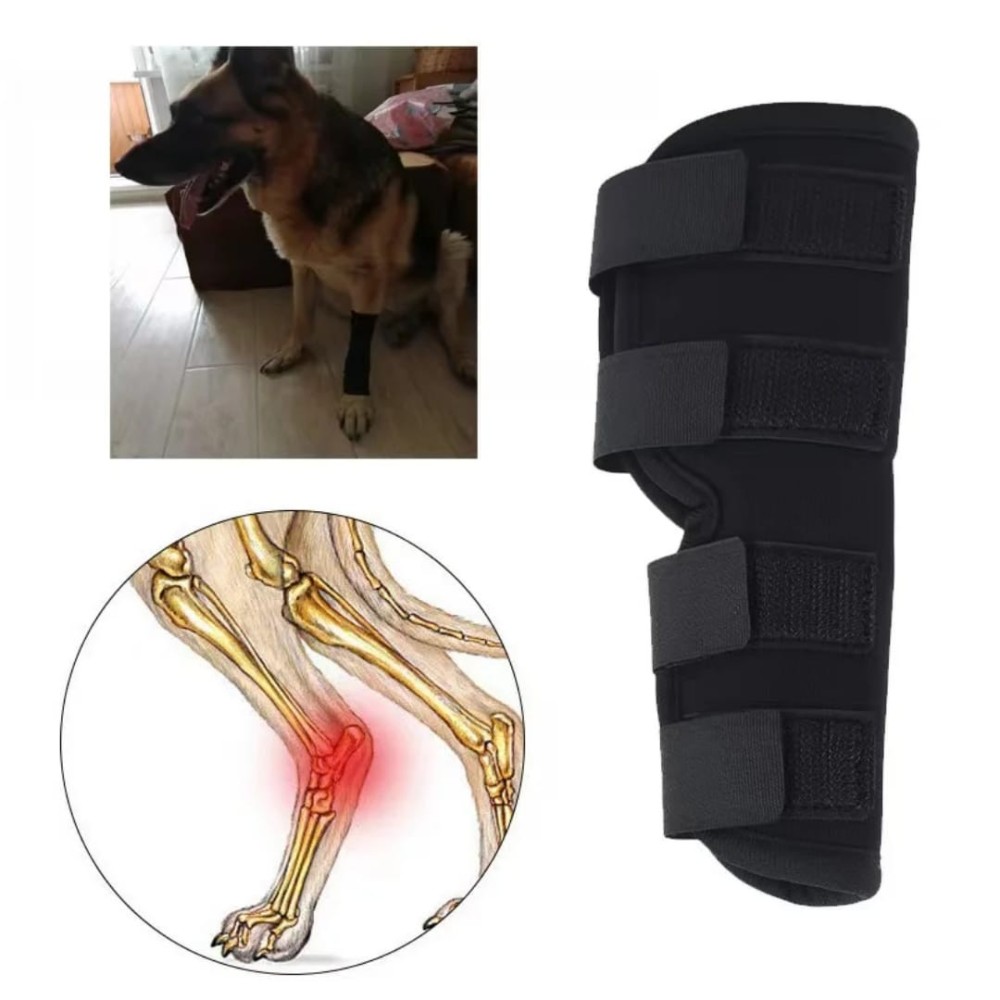 Genouillère pour chien