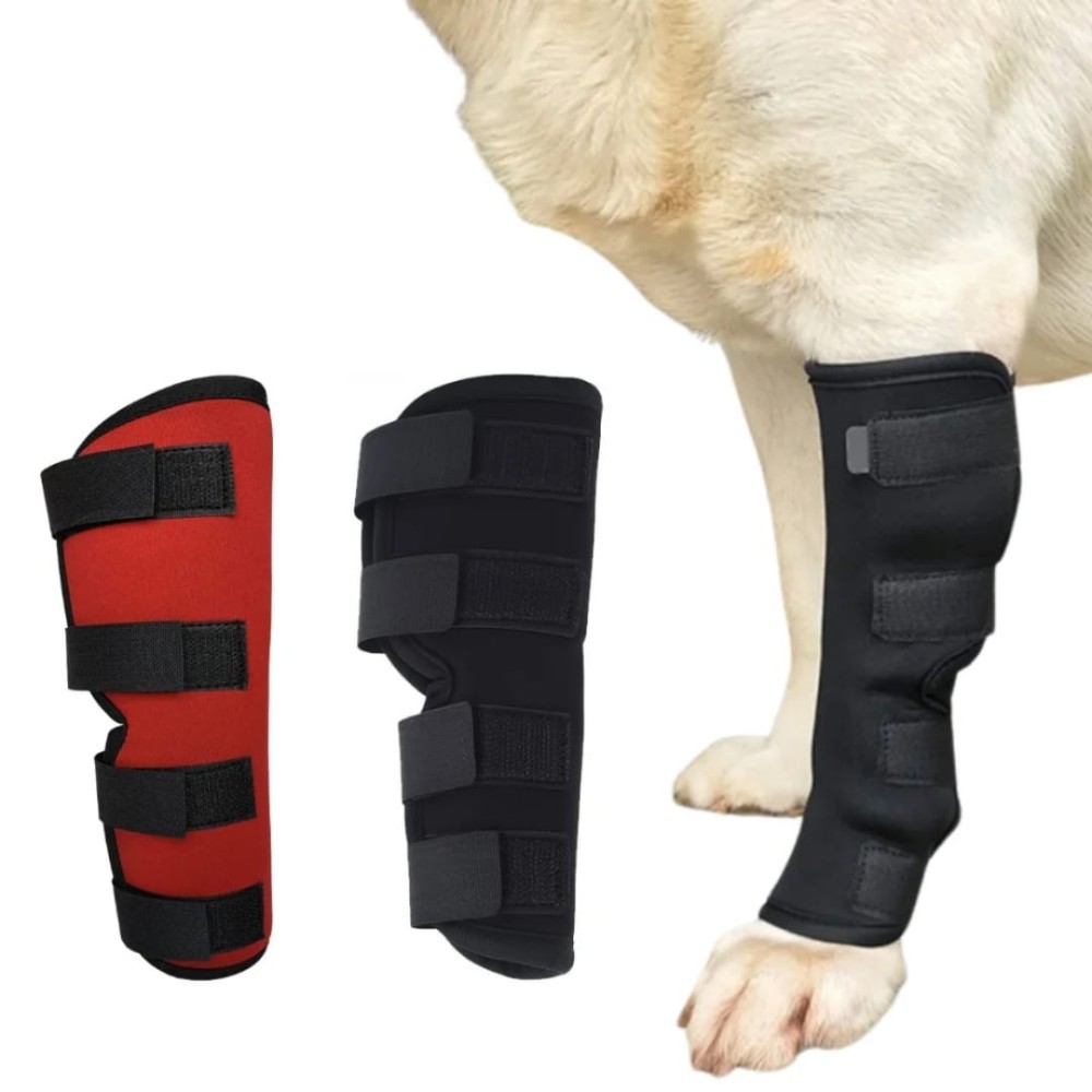 Genouillère pour chien