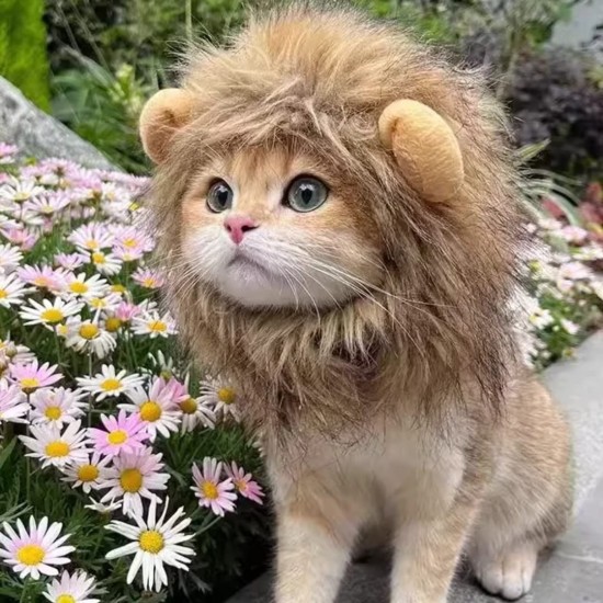 Perruque crinière de lion