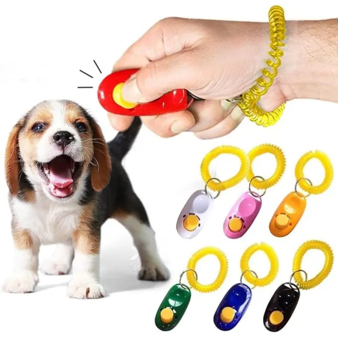 Clicker de dressage pour animaux