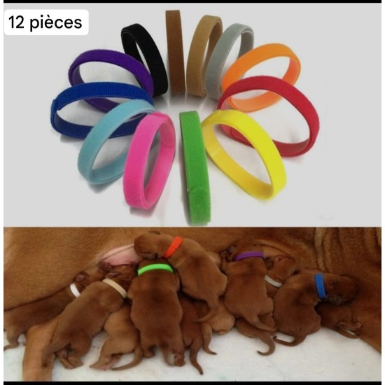 Colliers d'identification pour les bébés animaux