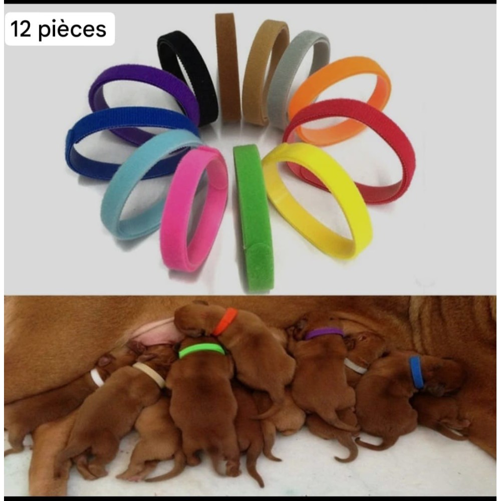 Colliers d'identification pour les bébés animaux