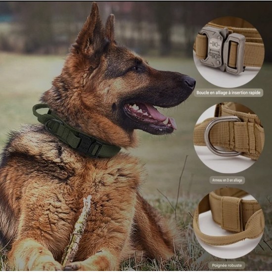 Collier tactique pour chien
