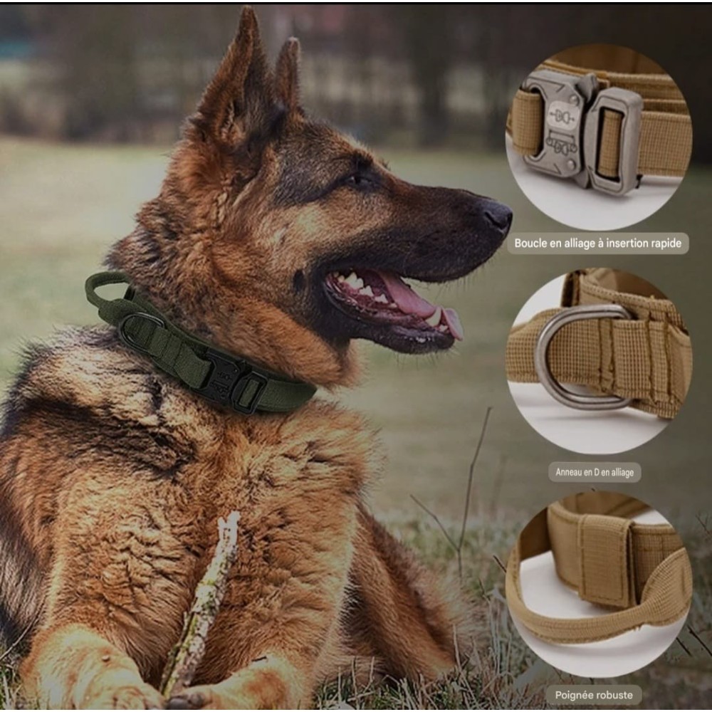 Collier tactique pour chien