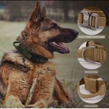 Collier tactique pour chien