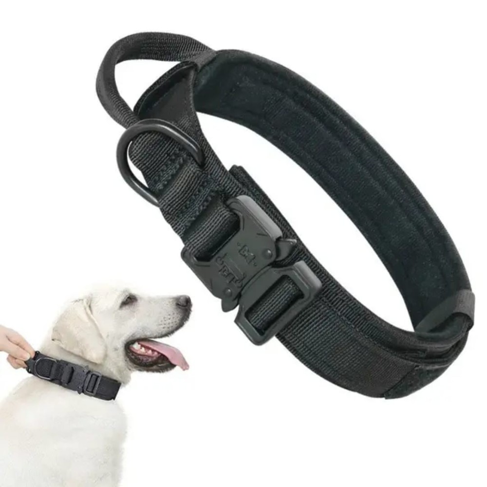 Collier tactique pour chien