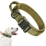Collier tactique pour chien