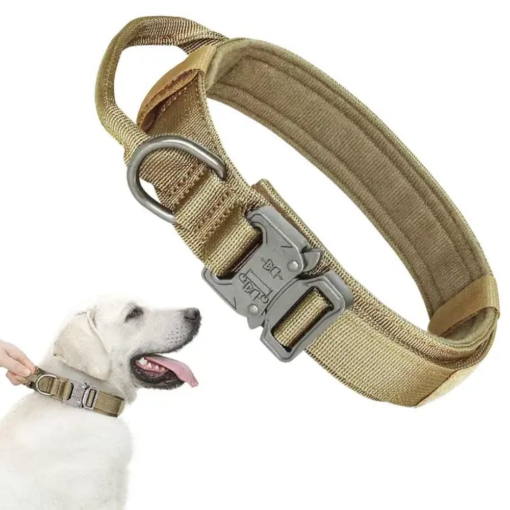 Collier tactique pour chien