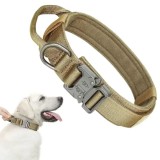 Collier tactique pour chien