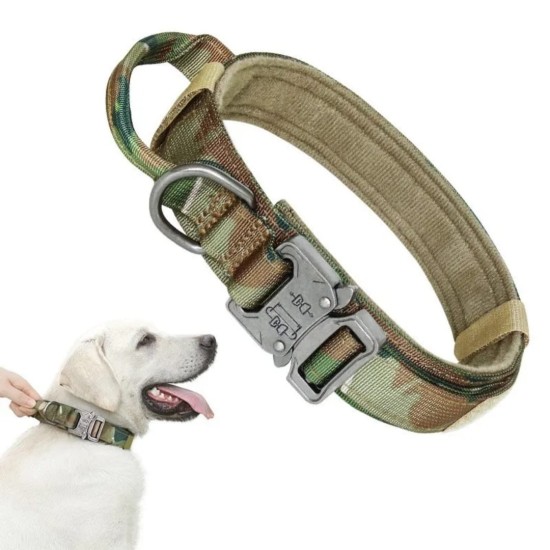 Collier tactique pour chien