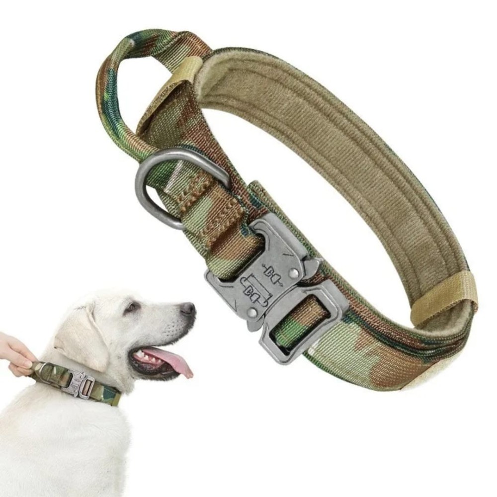 Collier tactique pour chien