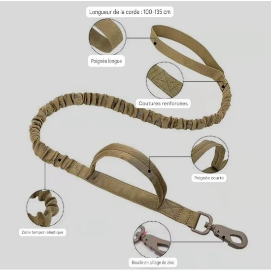 Laisse tactique pour chien