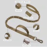 Laisse tactique pour chien