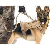 Laisse tactique pour chien