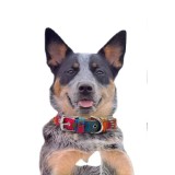 Collier pour chien