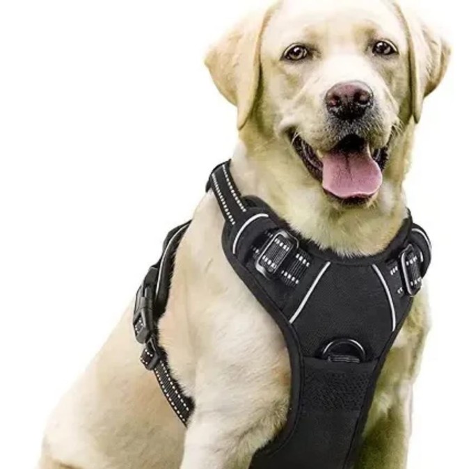 Harnais pour chien anti-traction