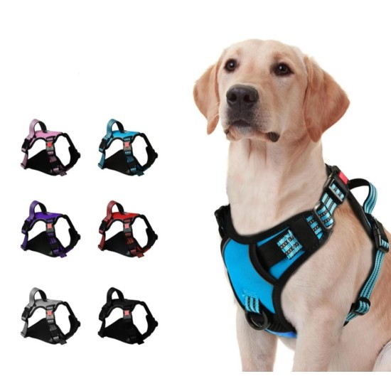 Harnais pour chien anti-traction