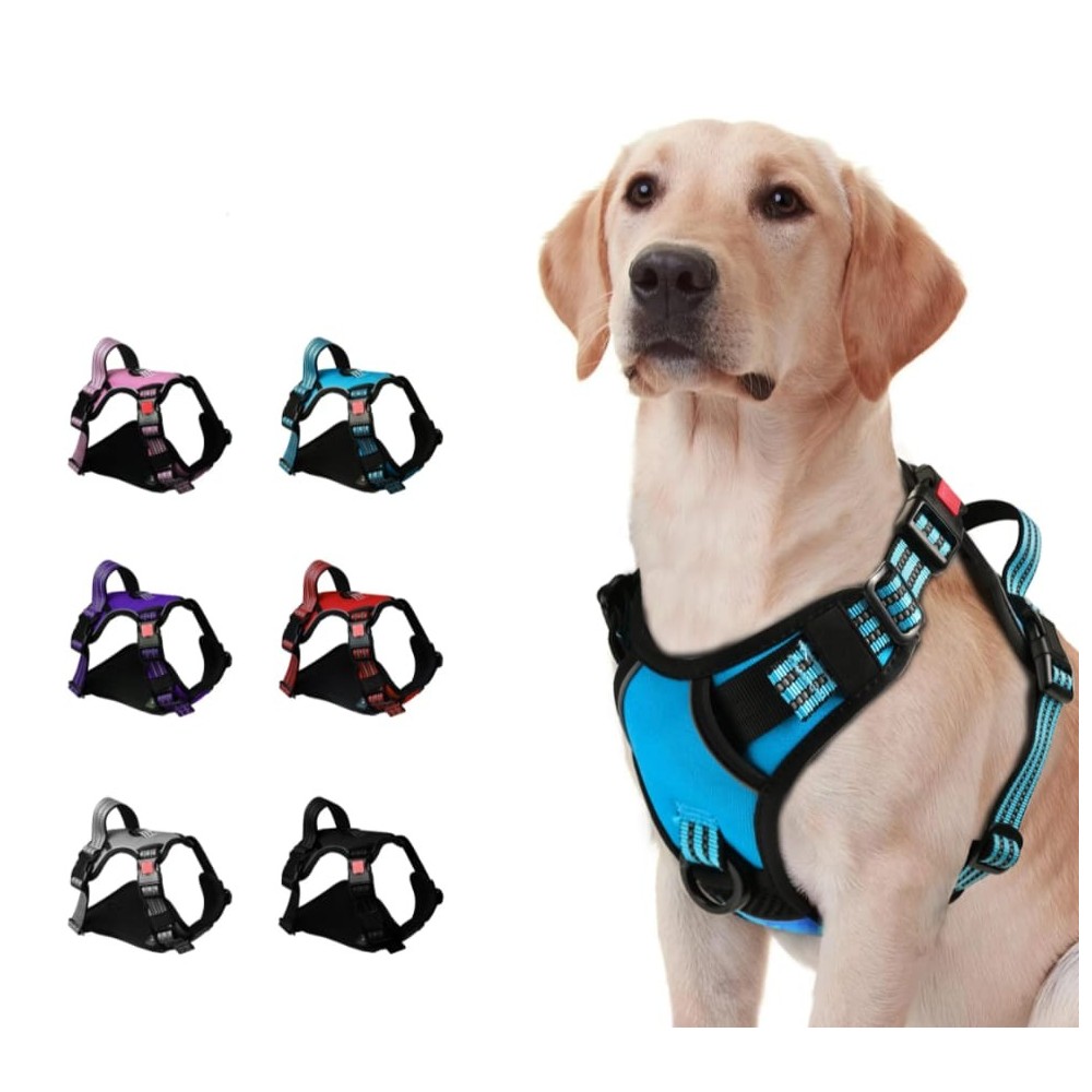 Harnais pour chien anti-traction