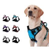 Harnais pour chien anti-traction