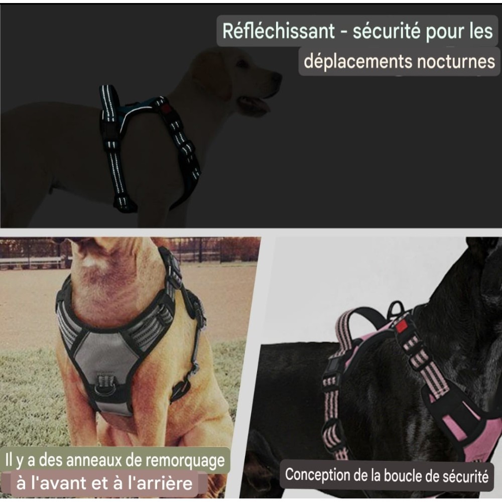 Harnais pour chien anti-traction