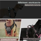 Harnais pour chien anti-traction
