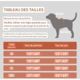 Harnais pour chien anti-traction