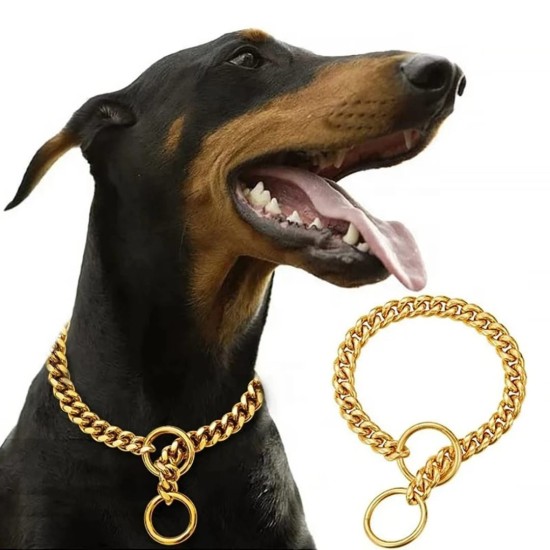 Collier en chaîne de dressage étrangleur pour chien