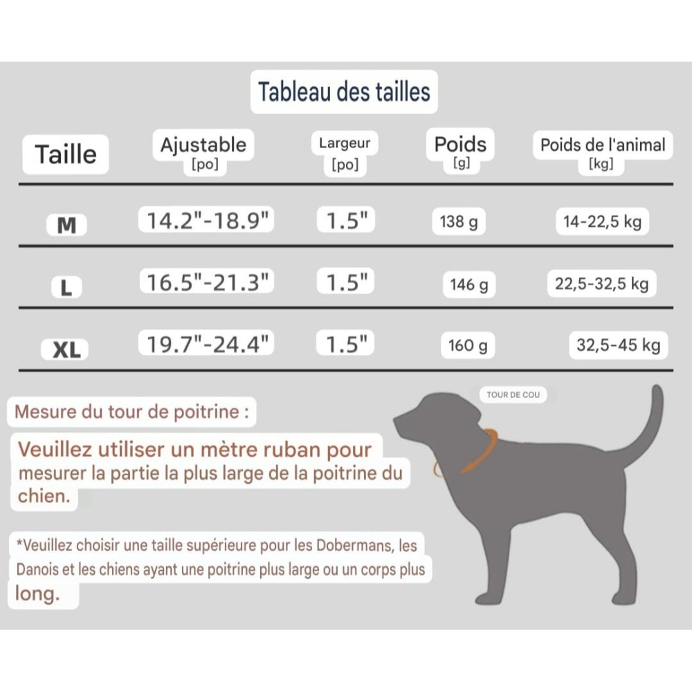Collier tactique pour chien