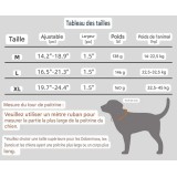 Collier tactique pour chien