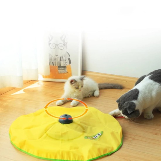 Tapis de jeu interactif pour chat.