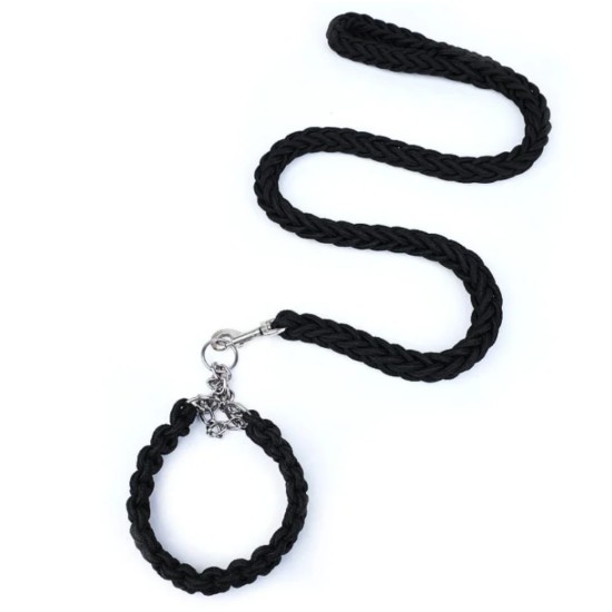 Laisse avec colliers