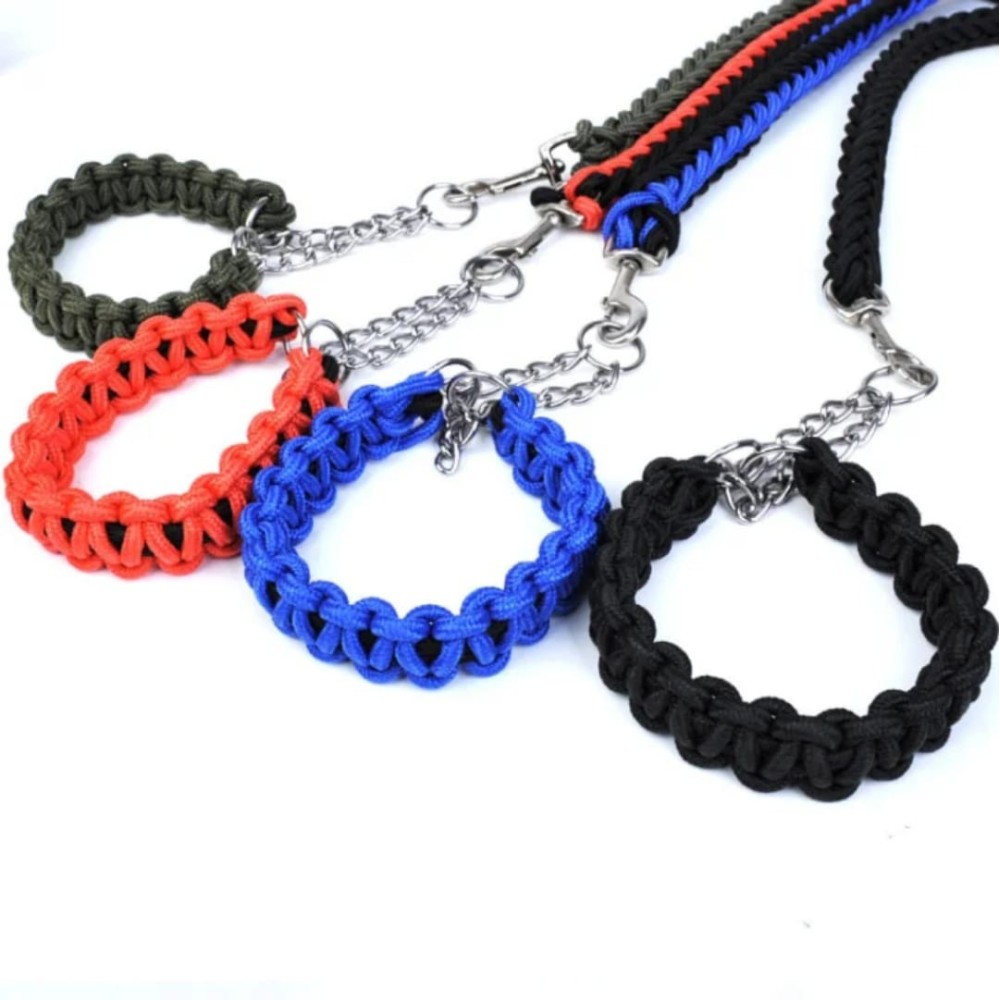 Laisse avec colliers