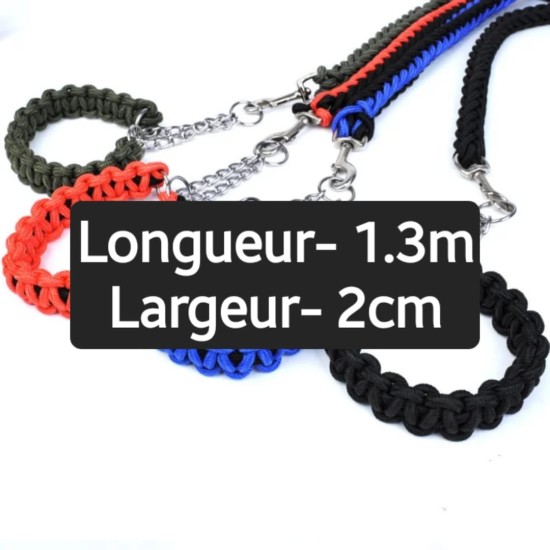 Laisse avec colliers