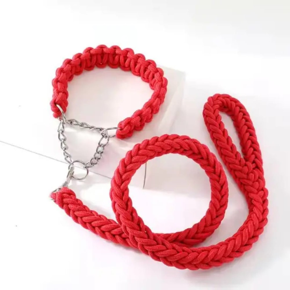 Laisse avec colliers