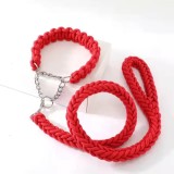 Laisse avec colliers