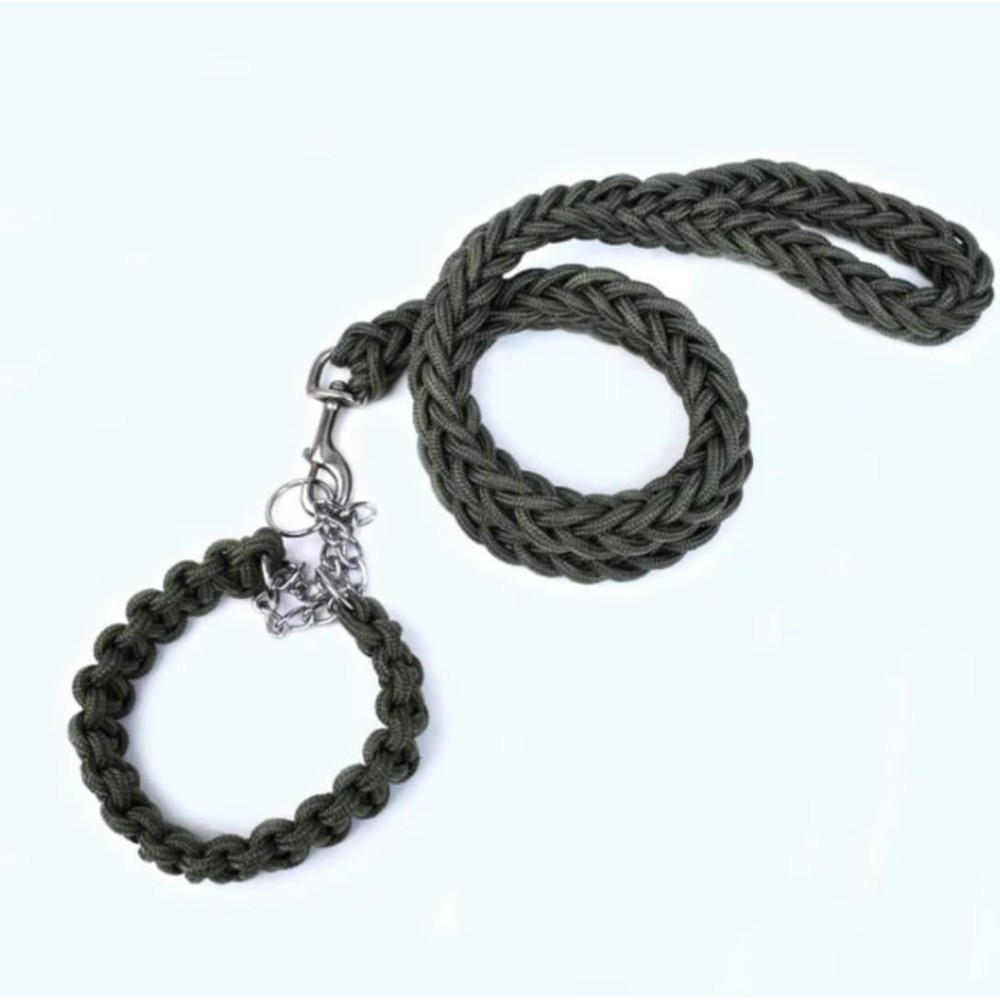 Laisse avec colliers