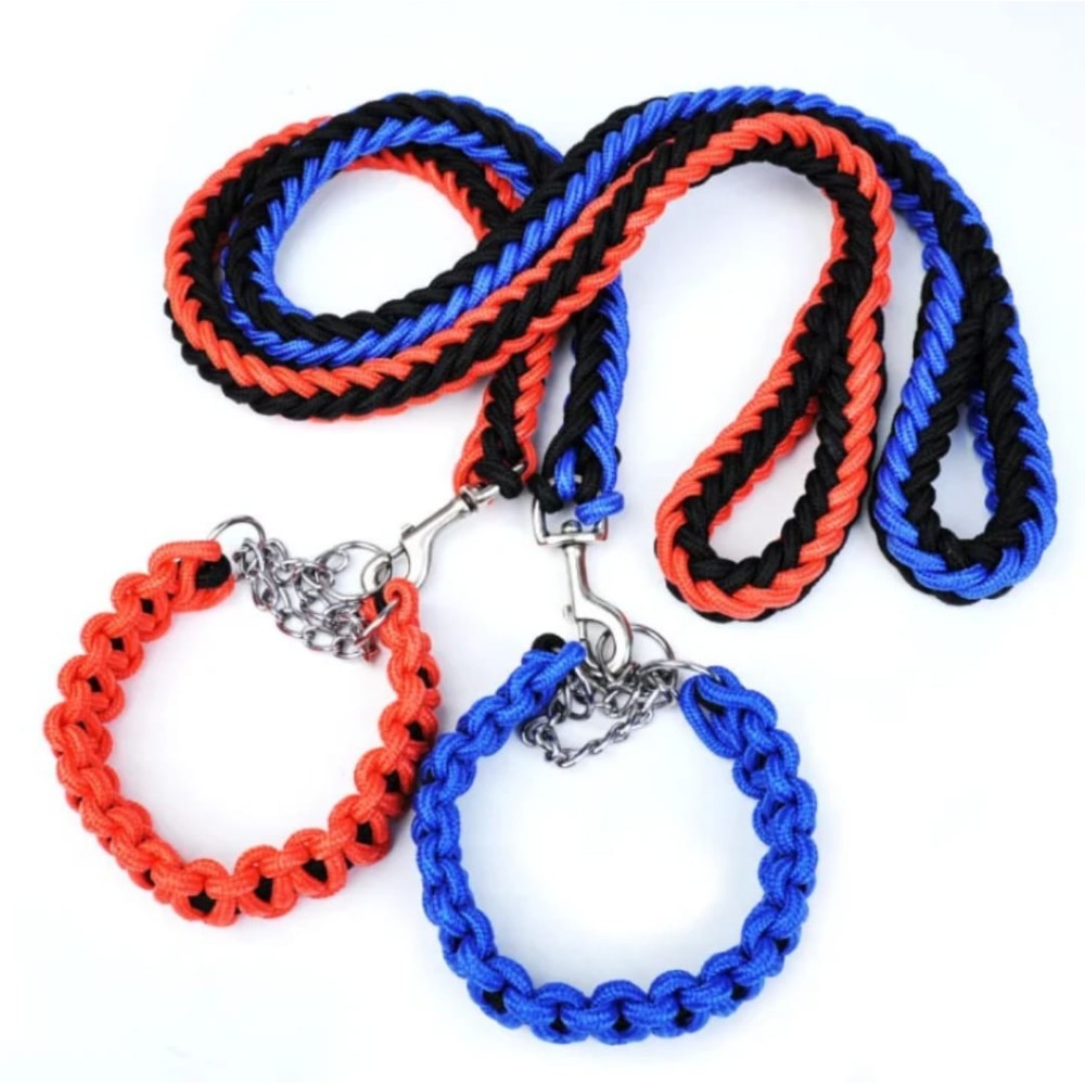 Laisse avec colliers