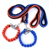 Laisse avec colliers
