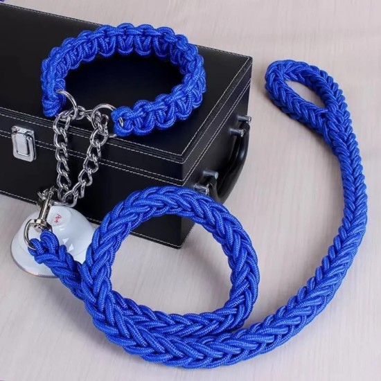 Laisse avec colliers